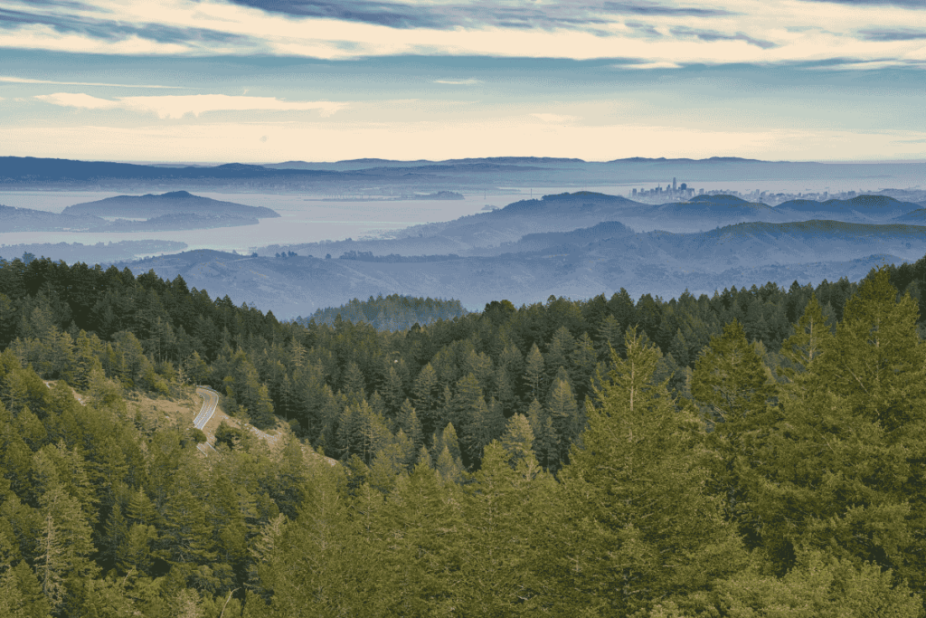 Mount Tamalpais State Park