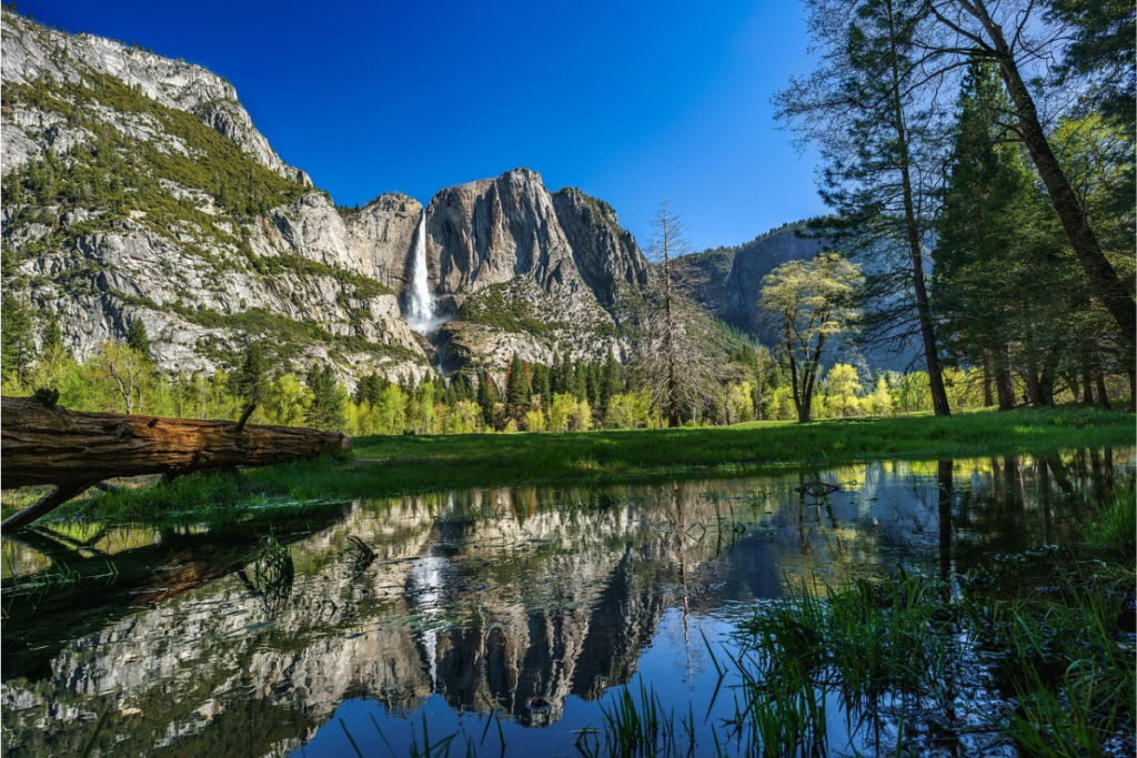 Yosemite National Park